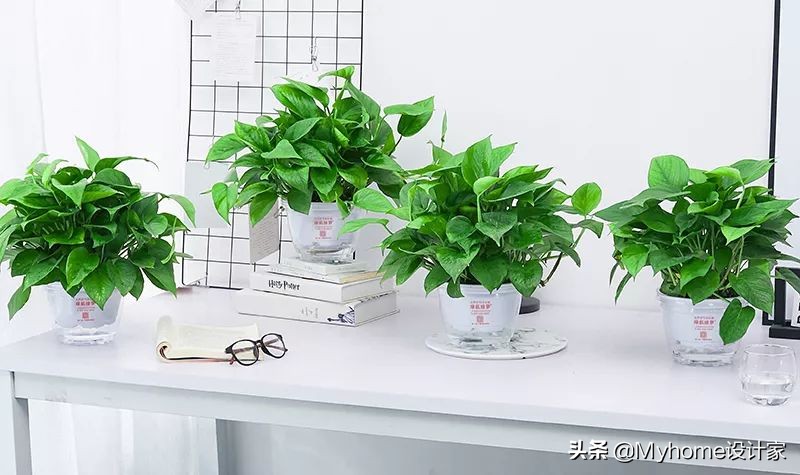 真正的新房除甲醛靠谱的方法,新房除甲醛最靠谱最实用的方法