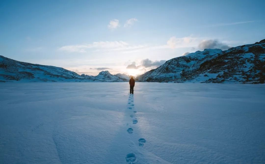 冰河上的贵公子王思聪：曾经挪威三文鱼喂狗，如今2200万被冻结