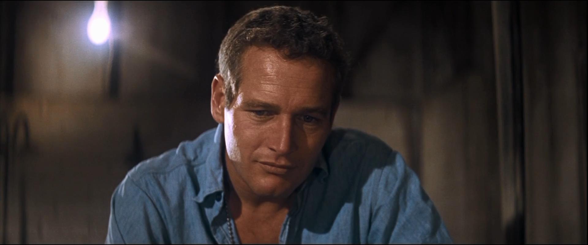 高分经典历届奥斯卡最佳电影,越狱2奥斯卡