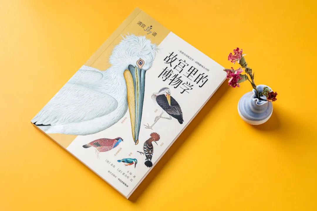 世界那么大我想去看看读书笔记,世界那么大我想去看看古诗