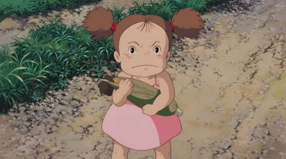 龙猫可怕的真相,龙猫事件真相揭秘