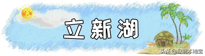 深圳免费的景点有哪些地方,深圳有哪些免费又好玩的地方景点