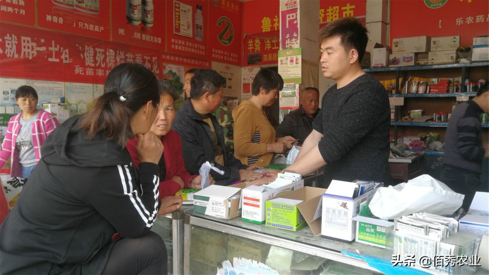 农民种植业赚钱吗现在,农村什么种植业最挣钱的