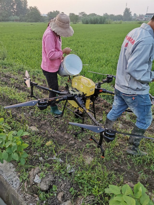 一味追求价格而不注重品质,不能盲目扩大种植面积