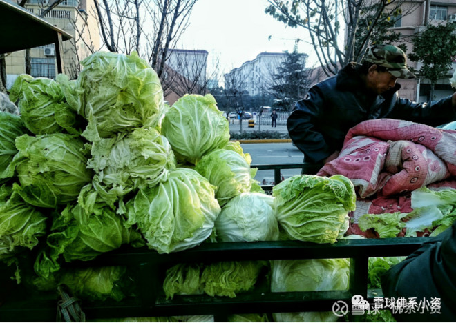 原油暴跌最新解析,原油暴跌我们该做点什么