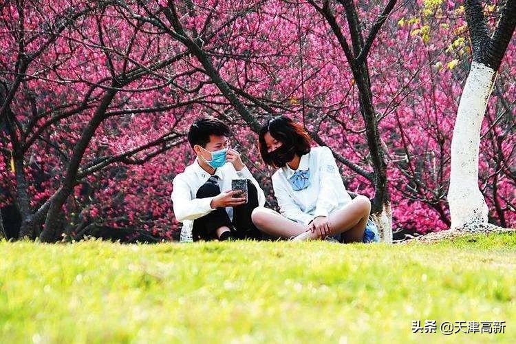 天津即将完工的公园,天津2022年四月开放的公园