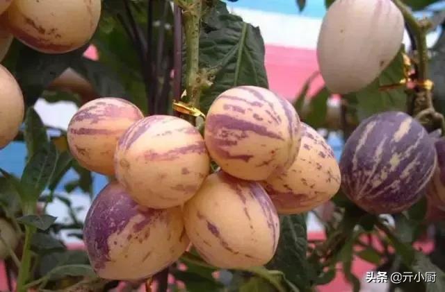 海南三亚值得带的特产,三亚海鲜干货特产在哪买便宜