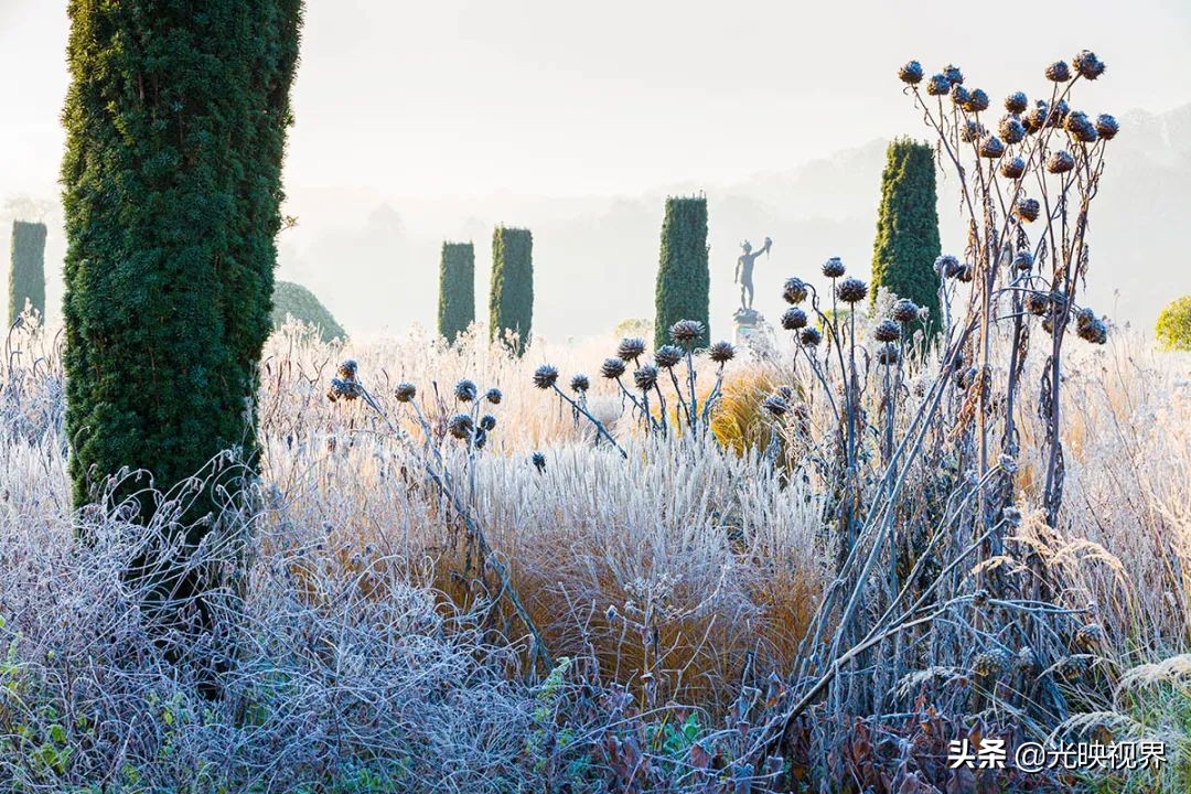 国际花园摄影大赛图片,那些美丽的花园