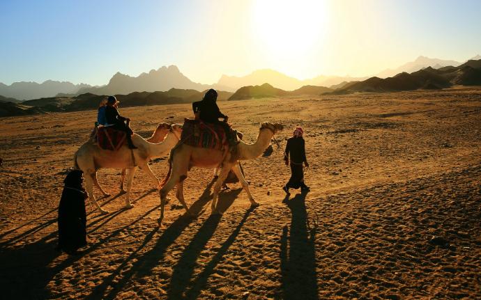 被称为沙漠之舟的骆驼站,被誉为沙漠之舟的骆驼原版