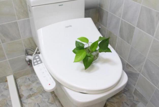 智能马桶盖有必要装吗？用过半年后才知道，很多人想错了