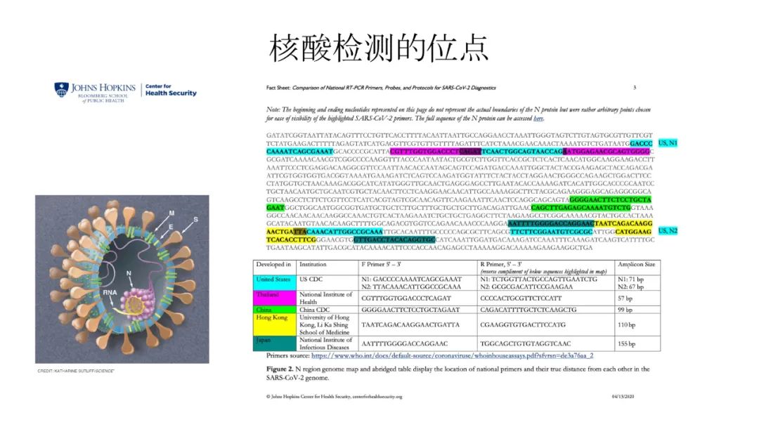 新冠病毒检测结果实验室解读,新冠病毒有哪些实验室检测方法