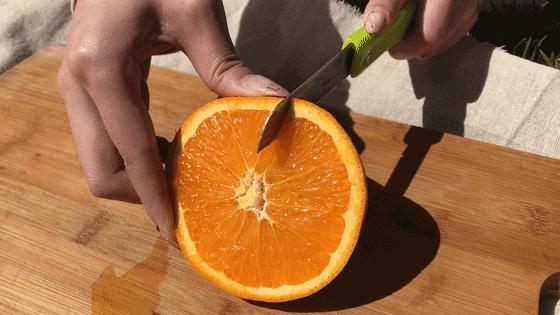 生鲜果蔬配送商城长春,全球顶级水果生鲜配送