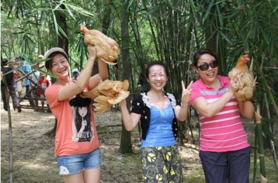南宁隐藏的景点,南宁周边农家乐游玩景点推荐