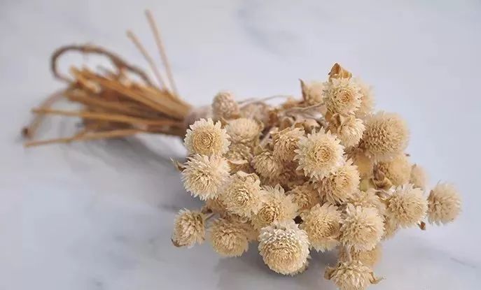 适合做干花的7种花,太阳花切花怎么做干花