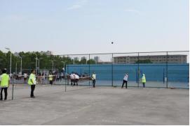 新乡市嘟嘟网络技术有限公司官网,新乡嘟嘟网络怎么样