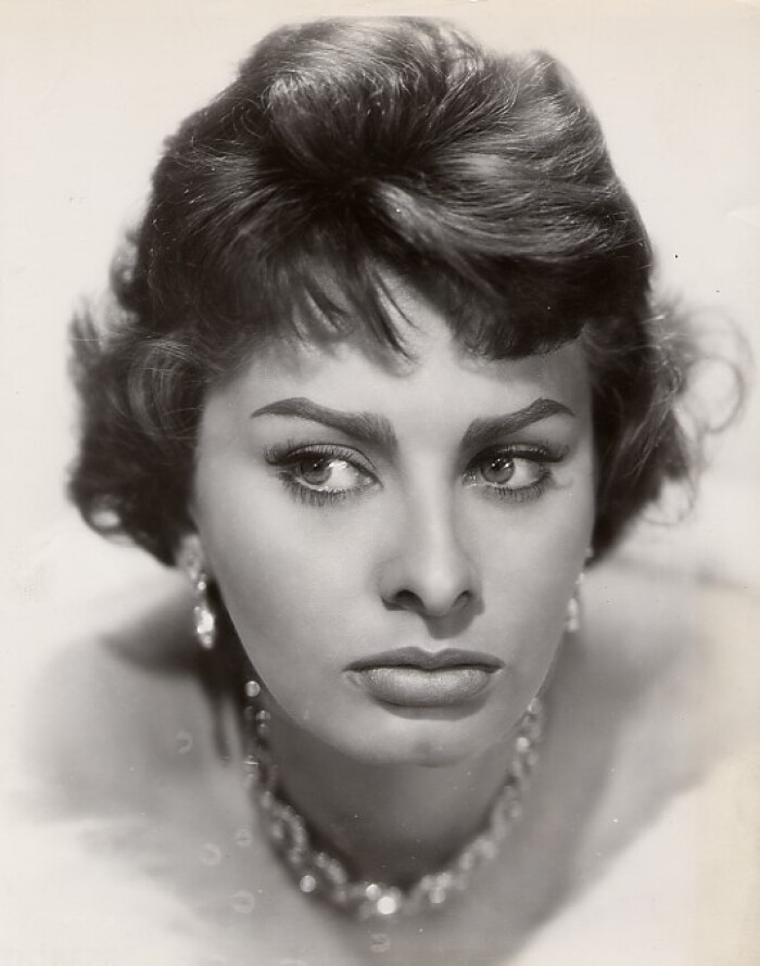 索菲亚罗兰女性特征,索菲亚罗兰年轻时的样子