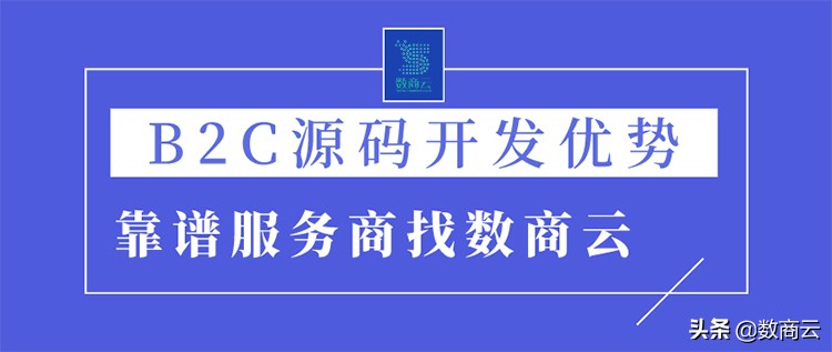 B2C商城系统开发,b2c商城系统定制开发