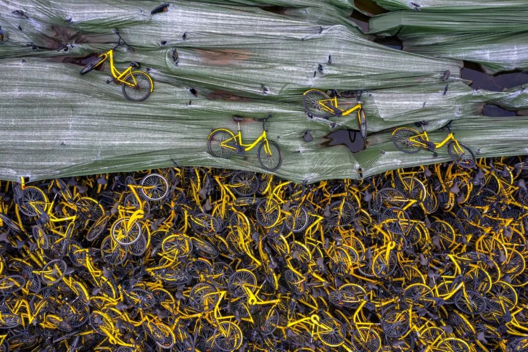 ofo共享单车坟场,ofo共享单车兴衰史