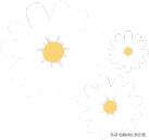 发现有车套了我的车牌怎么处理,我车牌被人家车子套了牌怎么办