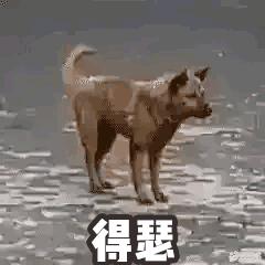 国货彩妆眉笔推荐平价品牌有哪些,李佳琦推荐眉笔防水防汗持久国货