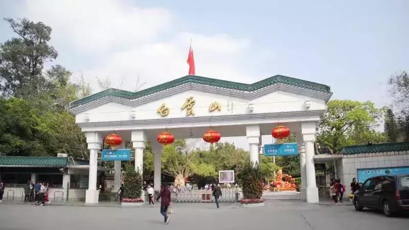 广州现在赏花哪里最好,广州各区赏花全指南