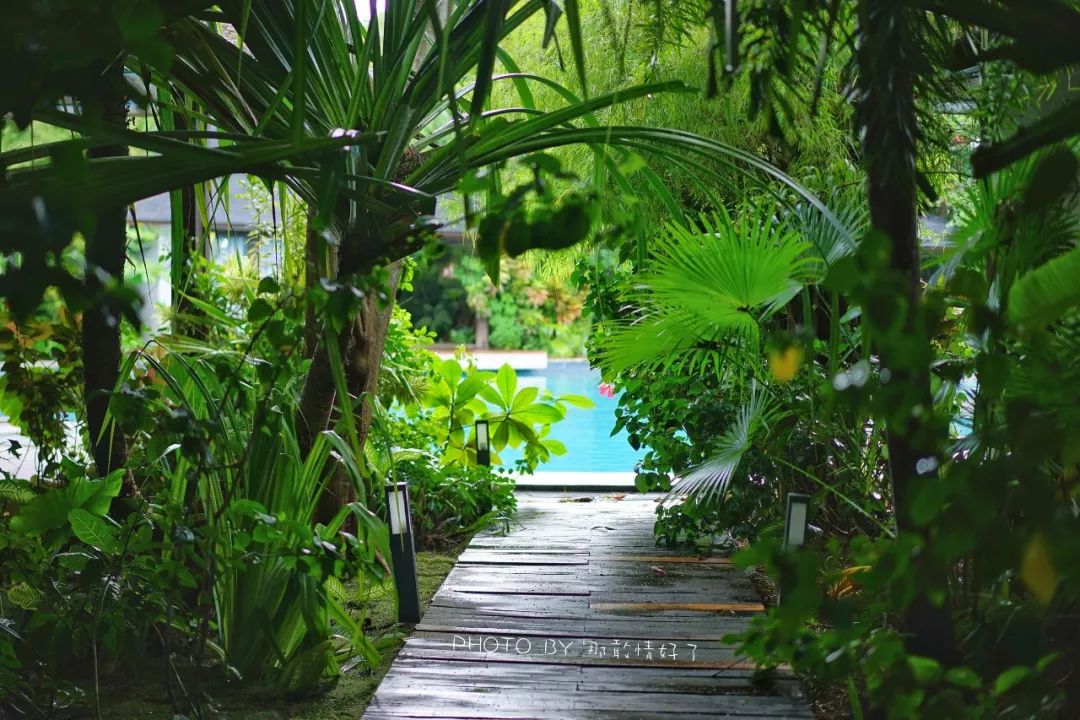 菲律宾冷门景区 (菲律宾锡基霍尔岛冲浪)