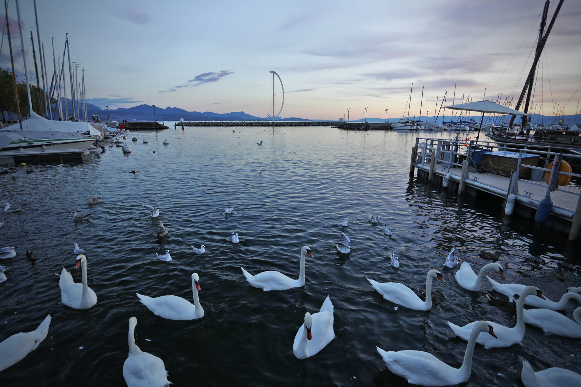 佳能新机皇eos-1dxmarkiii,佳能eos1dxmarkiii