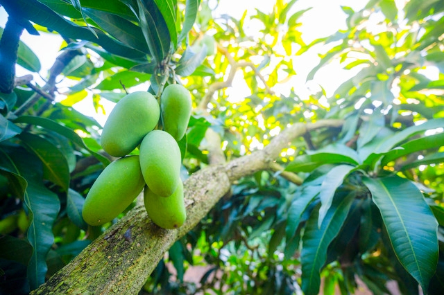 海南最美海湾石梅湾,海南最美的8大海湾