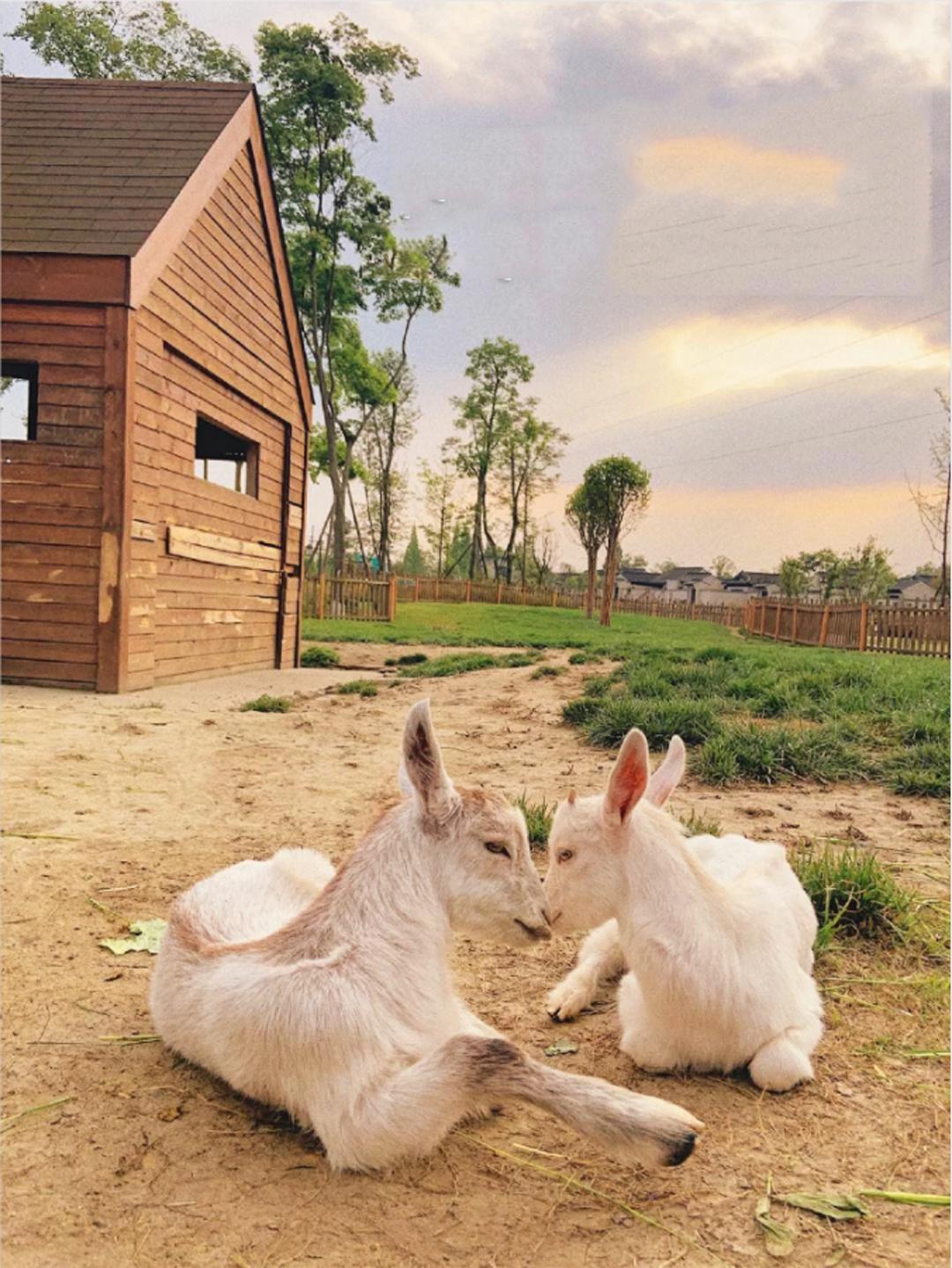 五一小众宝藏旅行地成都周边,成都旅行打卡地