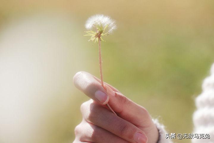 轻便无反相机推荐,当下无反相机推荐