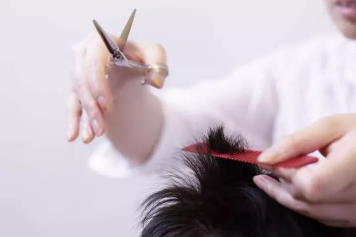 美发行业为什么不能上市,美发店一直坑消费者为何不整治