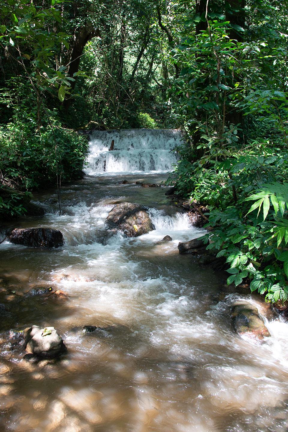 溪水潺潺心旷神怡,美景溪水潺潺