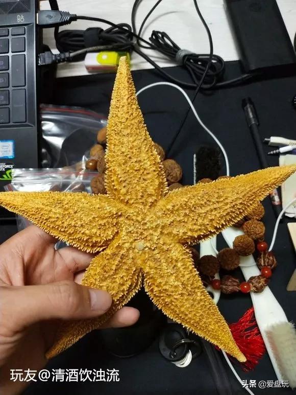 栗子，也能玩？这算啥，看看我玩的