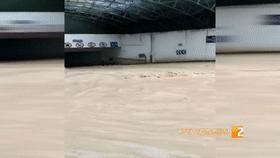 洪水涌入地下车库视频播放,洪水涌入地下停车场