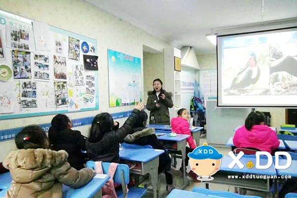 托管班如何借助大品牌,托管班怎样经营孩子才听话