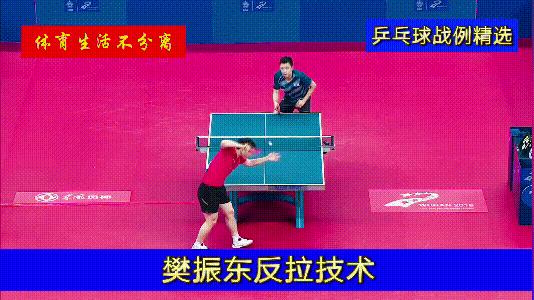 樊振东改变打法,樊振东战术体系分析