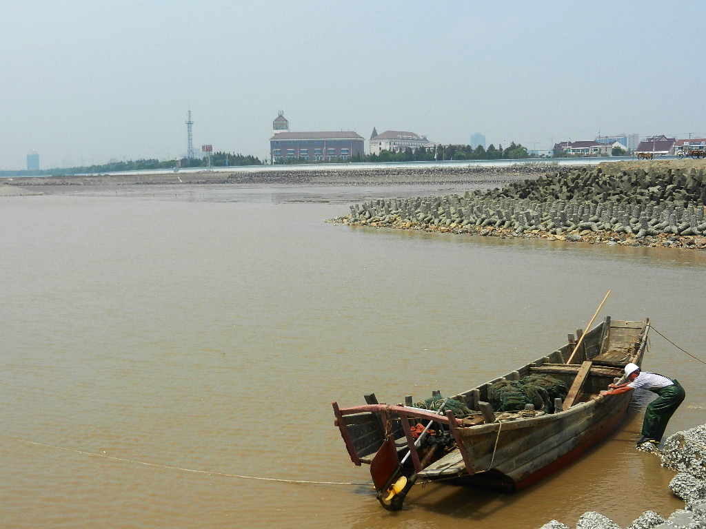 上海本地人都去哪吃海鲜,上海去哪里吃实惠而又正宗的海鲜