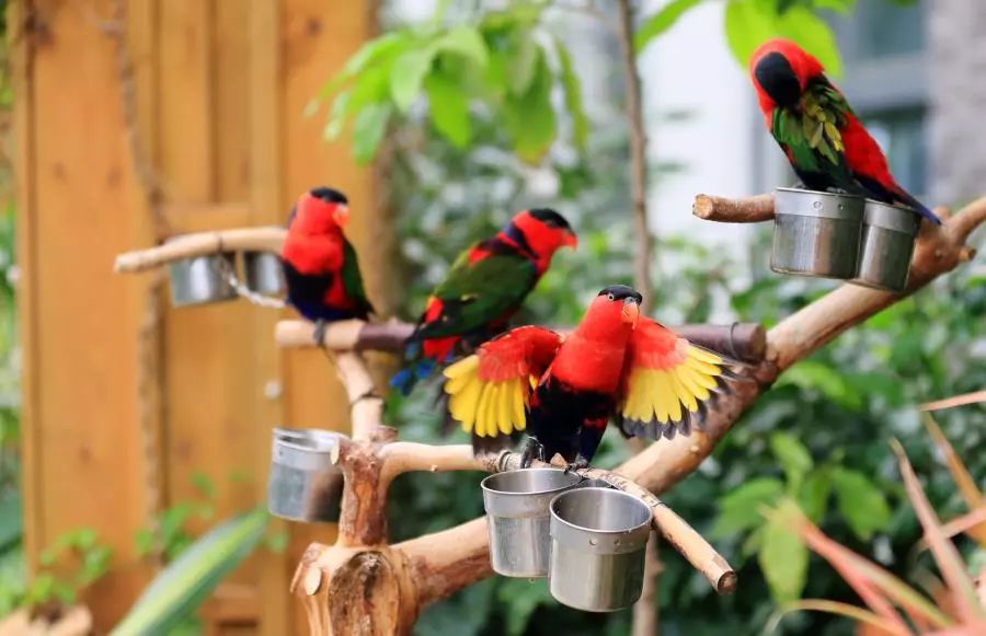 北京4月踏青的地方丰台区有哪些,丰台踏青好去处