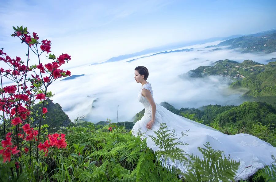 仙人街景区赏花攻略,吉尼斯打卡仙人街