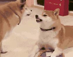 澶у瀷鎾掑▏鐜板満,澶у瀷鍗栬悓鐜板満