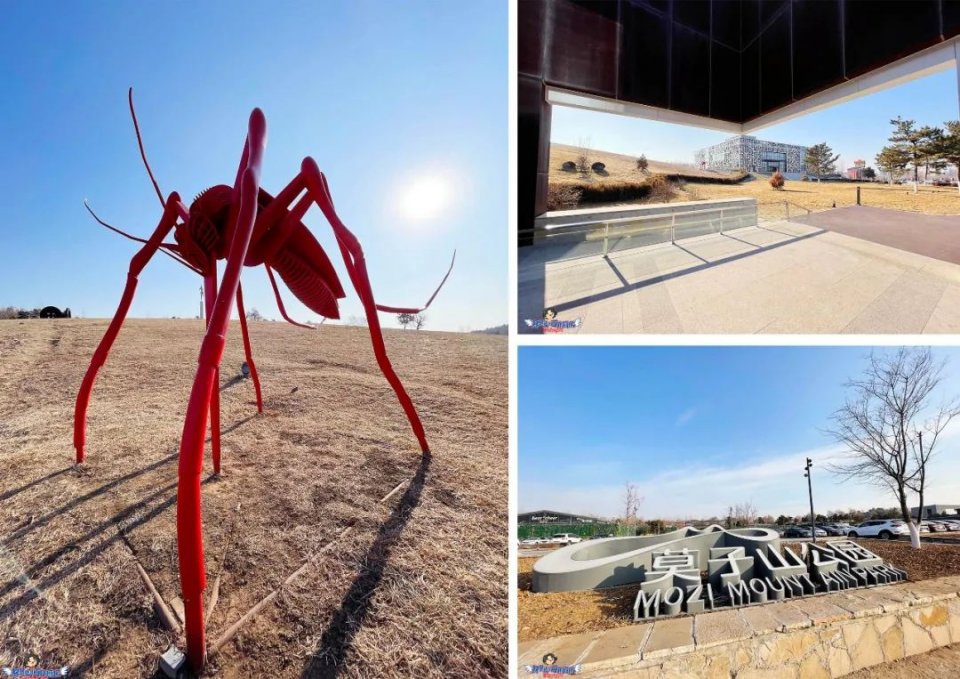 美哭了！沈阳公园里的高颜值城市书房，周末限流入馆！暴风哭泣