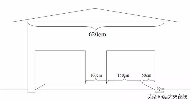 养猪猪舍设计建造,养猪最好的猪舍建造方法