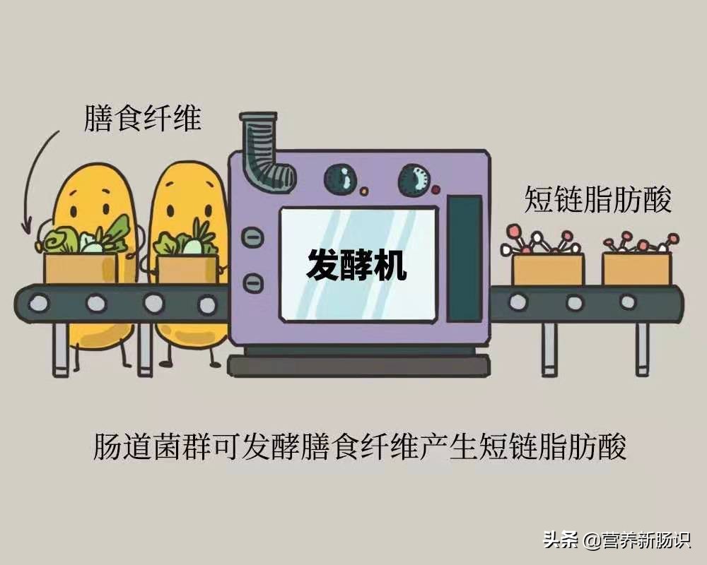 抑郁患者吞药需要做什么,吞抑郁药了怎么自救