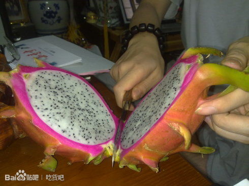 吃货必看的100个小技巧,吃货都有必要学会的小技巧