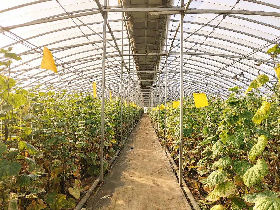 灏忕Н鍒嗗ぇ鑳介噺,灏忕Н鍒嗘縺娲诲ぇ鑳介噺