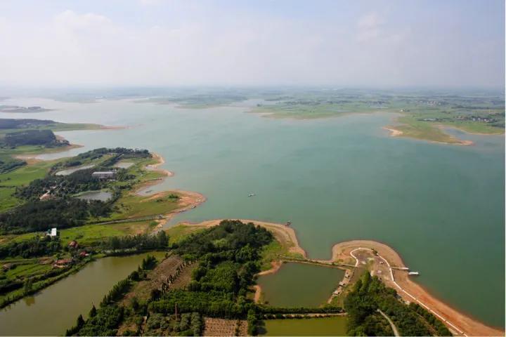 应来之城食用盐生产,应来之城餐馆