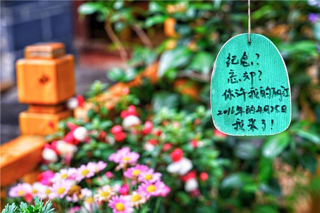 昆明一座浪漫的花城,云南四季如春风景