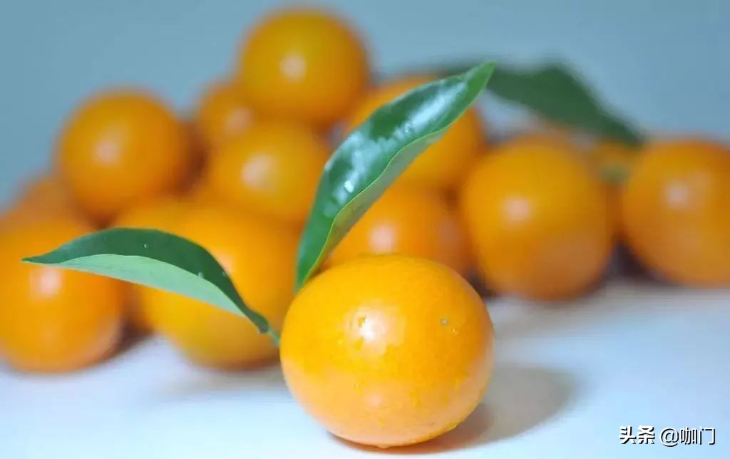 新开的奶茶店需要多久能走上正轨,奶茶店一杯牛奶的利润