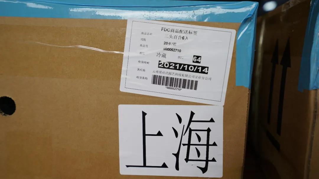 花卉市场晚上营业,今天的花卉市场