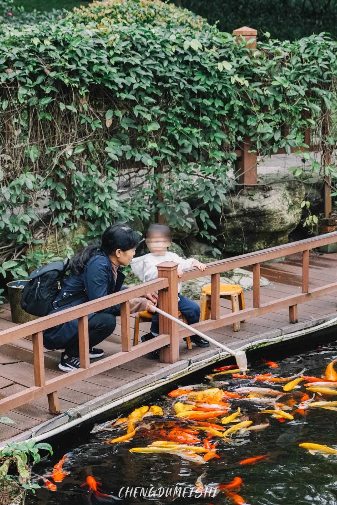 成都新都是一个怎么样的地方,成都一个来了就长胖的城市